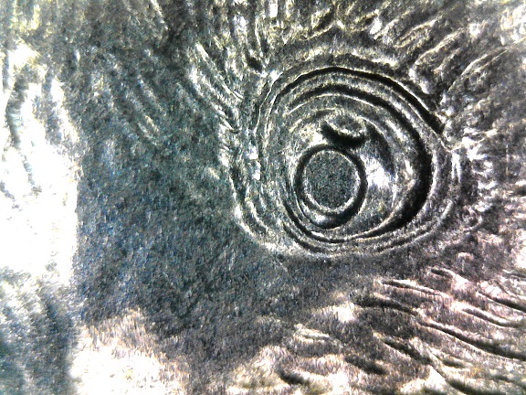 2020-P/D/S-Samoa-Quarter-Engraving-Error-On-The-P-Or-Doubling-On-The-D/S--?